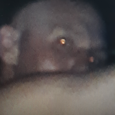 EnteredGod73246's profile picture. 