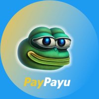 $PAYU(@payu_coin) 's Twitter Profileg