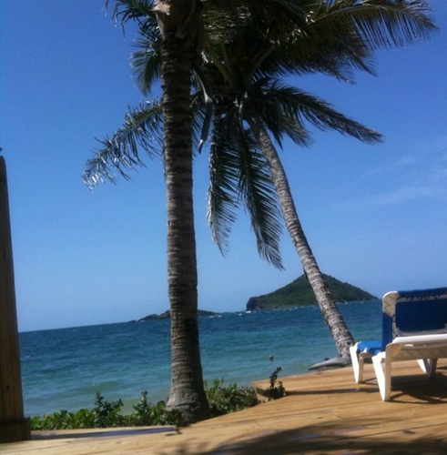 Realizeit360's profile picture. 