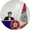 DSebSilva's profile picture. Política Joven/ Socialdemócrata / Me involucro en política por que quiero un cambio 🇵🇪 / involúcrate tú también 💪🏻