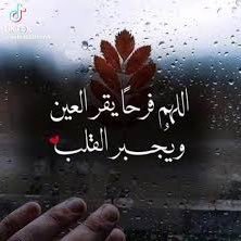 ABOMAZIN2024's profile picture. 