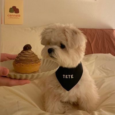 bi_mgg's profile picture. 通関士未登録のCS1年目🐣第58回通関士試験合格🌸貿易実務検定C級🌸みこ会卒業生 📚