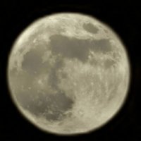 justicewins (@nooffences) 's Twitter Profile