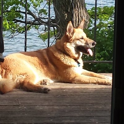 reluctant888's profile picture. 