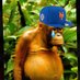JoeMets (@joeevan14) Twitter profile photo JoeMets (@joeevan14) Twitter profile photo
