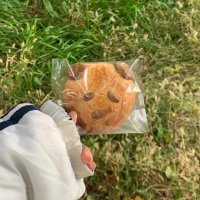 ππ€π’ποΈ (@_domi____5) 's Twitter Profile