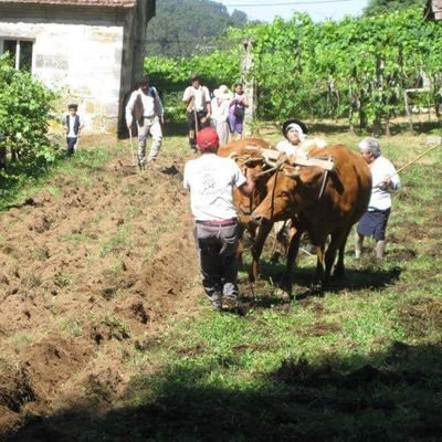 Un toleirán da aldea.😱 Bruto como un arado.💪 Galego tiña que ser. Mallo donde sexa.🪓🔨 Teño forza como un animal.🐴 Lume que te criou.,🔥🔥 Deportivista,🩵🤍