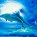 Dolphincatcher (@Dolphincat2436) Twitter profile photo