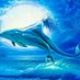 Dolphincatcher (@dolphincat2436) Twitter profile photo Dolphincatcher (@dolphincat2436) Twitter profile photo