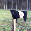 Mandy Hopper - @Mandy_Lou_H - Twitter