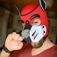 puppymaple.bsky.social (@pup_maple) 's Twitter Profile