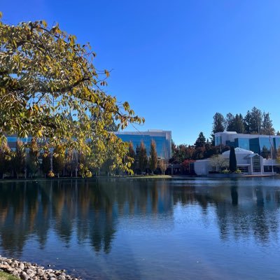 kydaviess's profile picture. 