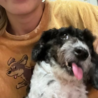 bataa_bataa_ Profile Picture