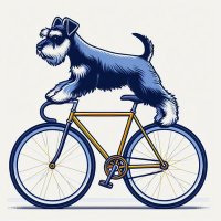 Pedaleando SLP(@PedaleandoSLP) 's Twitter Profile Photo