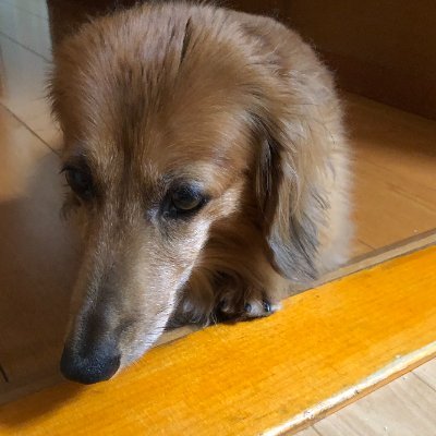 うるるんさんのプロフィール画像