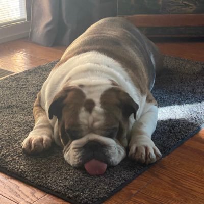 AerolinkSQS's profile picture. 