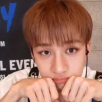 bangchan as puppies 合 (@puppchris) 's Twitter Profile