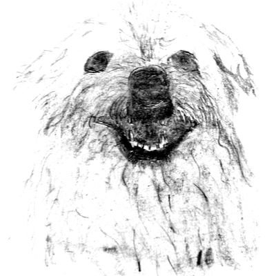 interconexion91's profile picture. Salsa y Sabor con candela Uruapan