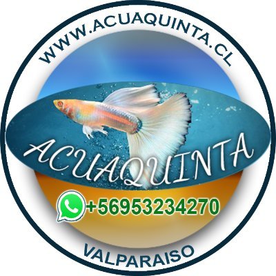 Tienda de peces plantas y acuarios