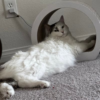 joebromero's profile picture. 