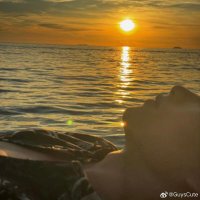 Alex552 (@alexlovewill) 's Twitter Profile