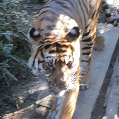 pmwgdmxgd's profile picture. 