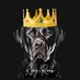 King Rook (@KingRookDFS) Twitter profile photo