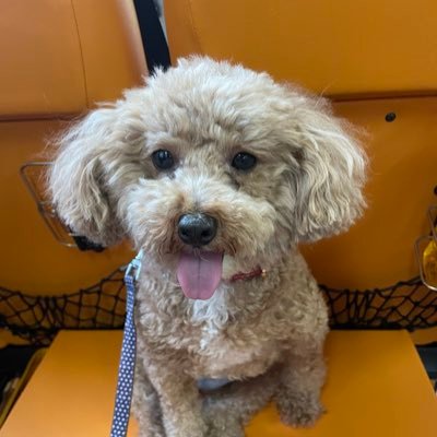 0503miki2001's profile picture. 