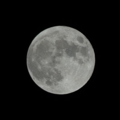 SCBHDDLG's profile picture. 