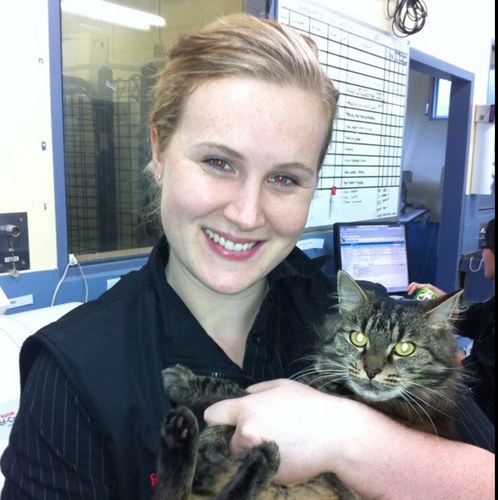 VetJessie's profile picture. Wife, friend, sister, daughter, TV watcher, animal lover, veterinarian, movie go-er and collingwood supporter and not necessarily in that order :)