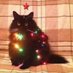 coror36715 (@coror36715) Twitter profile photo coror36715 (@coror36715) Twitter profile photo