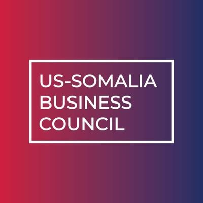 Chairman U.S-Somalia Business Council. Former Ambassador of Somalia to U.N in New York and concurrently represented Somalia at USG in D.C.