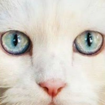 amoresa95860826's profile picture. Mi estación favorita el otoño 🍁 🍂 🍃 e invierno ☃ 🌨
Amo el frío, la lluvia, días nublados, el café ☕ 😌, caminar descalza, amo el mar 🌊, la música, bailar.