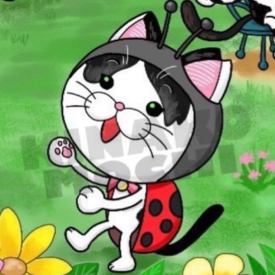 ３ﾆｬﾝｽﾞ🐾2022♥ｽｺﾃｨｯｼｭ＆ﾐﾇｴｯﾄ♡6つ子ﾆｬﾝｽﾞ🫶2023.04.10 保護猫ｸﾞﾘｺ♥世界1可愛いﾁｬﾝ😻
