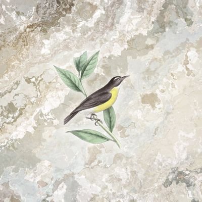 Ghx86L's profile picture. メイン｜映像、音響、自作ツールいろいろ｜https://t.co/Xgqb8cjOXj(更新)