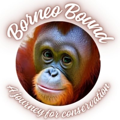 I am a 13 year old student who is interested in conservation, wildlife, sustainability, and climate change. The trip to Borneo is the perfect way to give back.