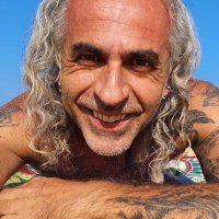 canis lupus albus (@canislupusaltdf) 's Twitter Profile