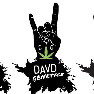 #DAVDGenetics - Let's get weird 🤘

Contact for seeds ⬇️⬇️⬇️