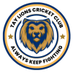 Tay Lions Cricket Club (@taylionscc) Twitter profile photo