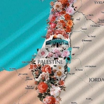 AhmdRyad32260's profile picture. يجب ان تكون انسان في كل المواقف