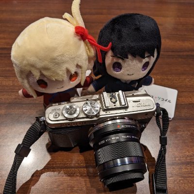 瑞(ズイ)@リコリコカメラマンになりたい