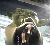 yoda