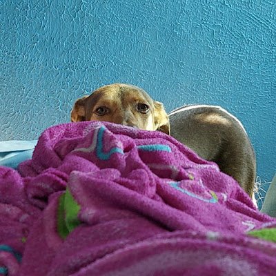 sabina_rios_'s profile picture. 