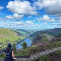 Frances (@mcteale81686) 's Twitter Profile