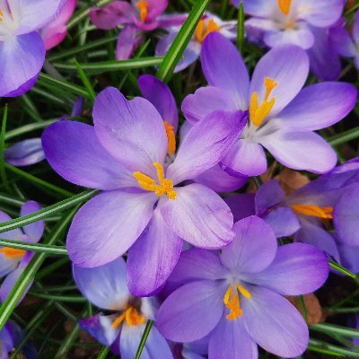 Khurram77921305's profile picture. Search, Research, Analysis.

I love and Support Pakistan Army, Airforce, Navy and Honest Government Officials.