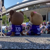 🐻ふぁんふぁん (@kokokara_sfc) 's Twitter Profile