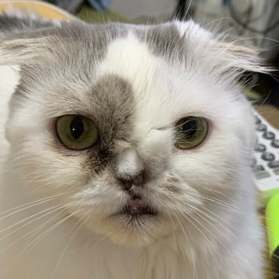 mbwp68gOqN33489's profile picture. エロ垢即ブロックします‼️私にとって必要じゃないフォローはブロックします❗️