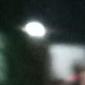 maksudil's profile picture. 