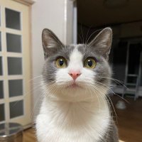 ちえこ (@chieko507560092) 's Twitter Profile