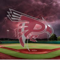 Pierce Baseball (@pierce_baseball) 's Twitter Profile